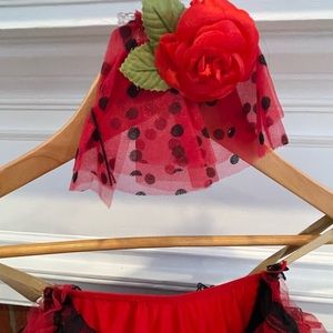 Beautiful costume ( Spanish dance).